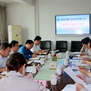 ˾_(qing)h(yn)o(j)ٰl(f)չ(xing)I(lng)(do)ӌ}