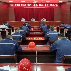 ꖘOֹ˾_2021ꡰa(chn)|(zh)Ч(dng)T(hu)