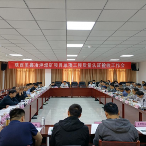 VI(y)˾ұƺúV(xing)Ŀͨ^(gu)(xing)|(zh)J(rn)C