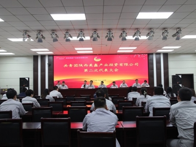 Fήa(chn)I(y)ͶY޹˾ڶδɹ_