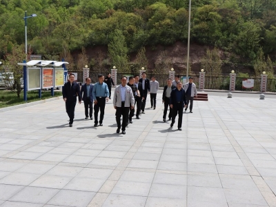 ɽ|ӿعɼF(tun)޹˾ ½ɅRúI(y)_l(f)޹˾VI(y)˾콻