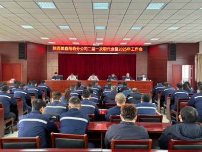 ꖘOֹ˾_һ(hu)2025깤(hu)